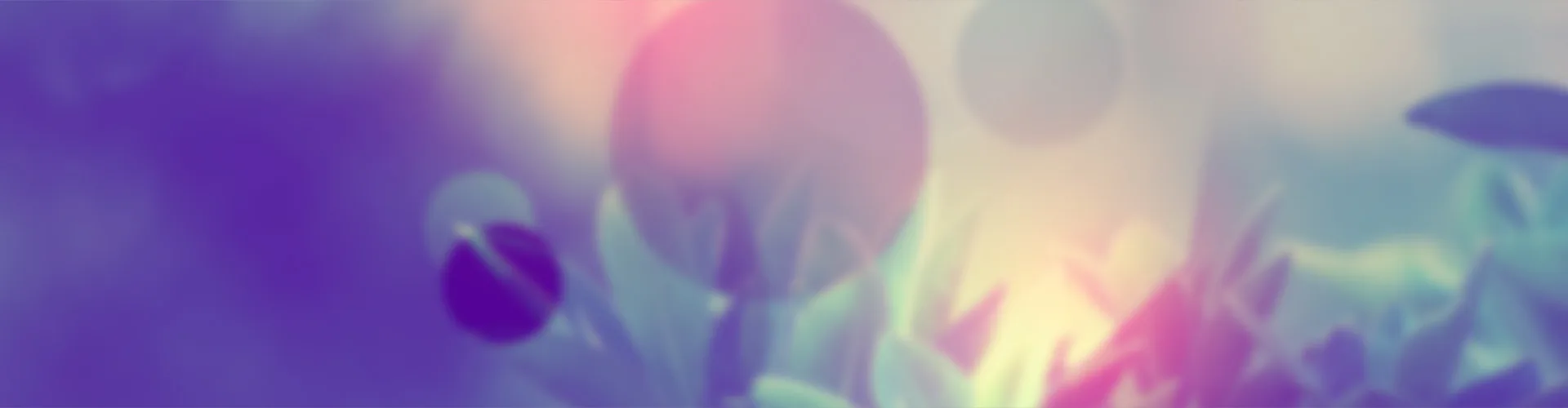 狗子28
